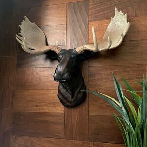 North American Moose Head Bust Wall Hanging